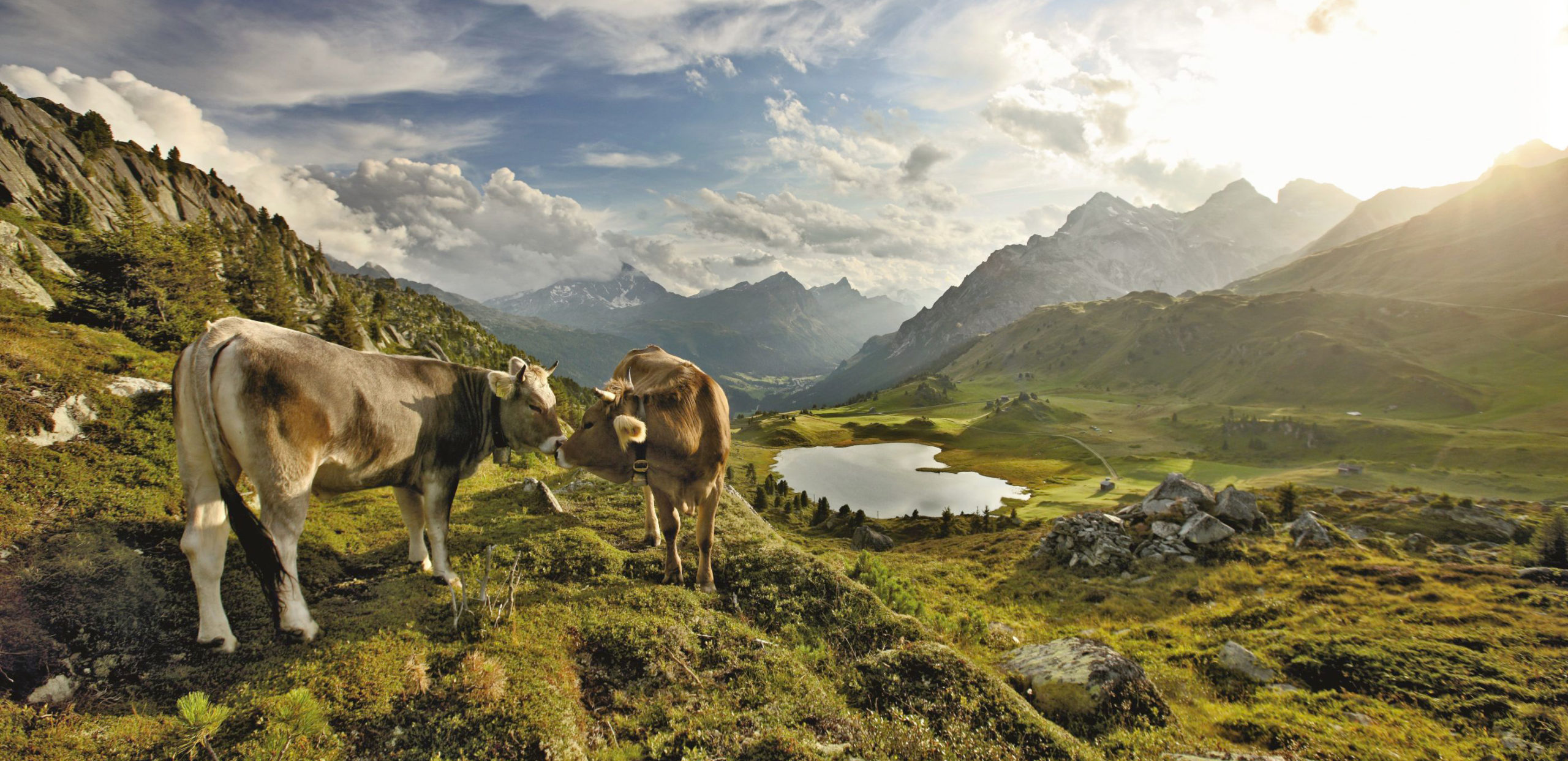 17 parcs naturels suisses dont la population ne connaît pas l&rsquo;existence