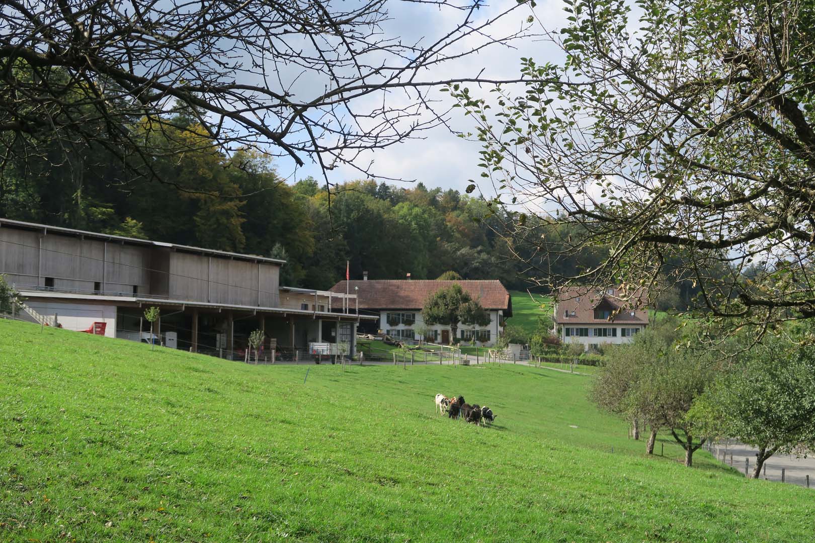 Une exploitation moderne en bordure de la ville d&rsquo;Aarau avec terrasse ensoleillée