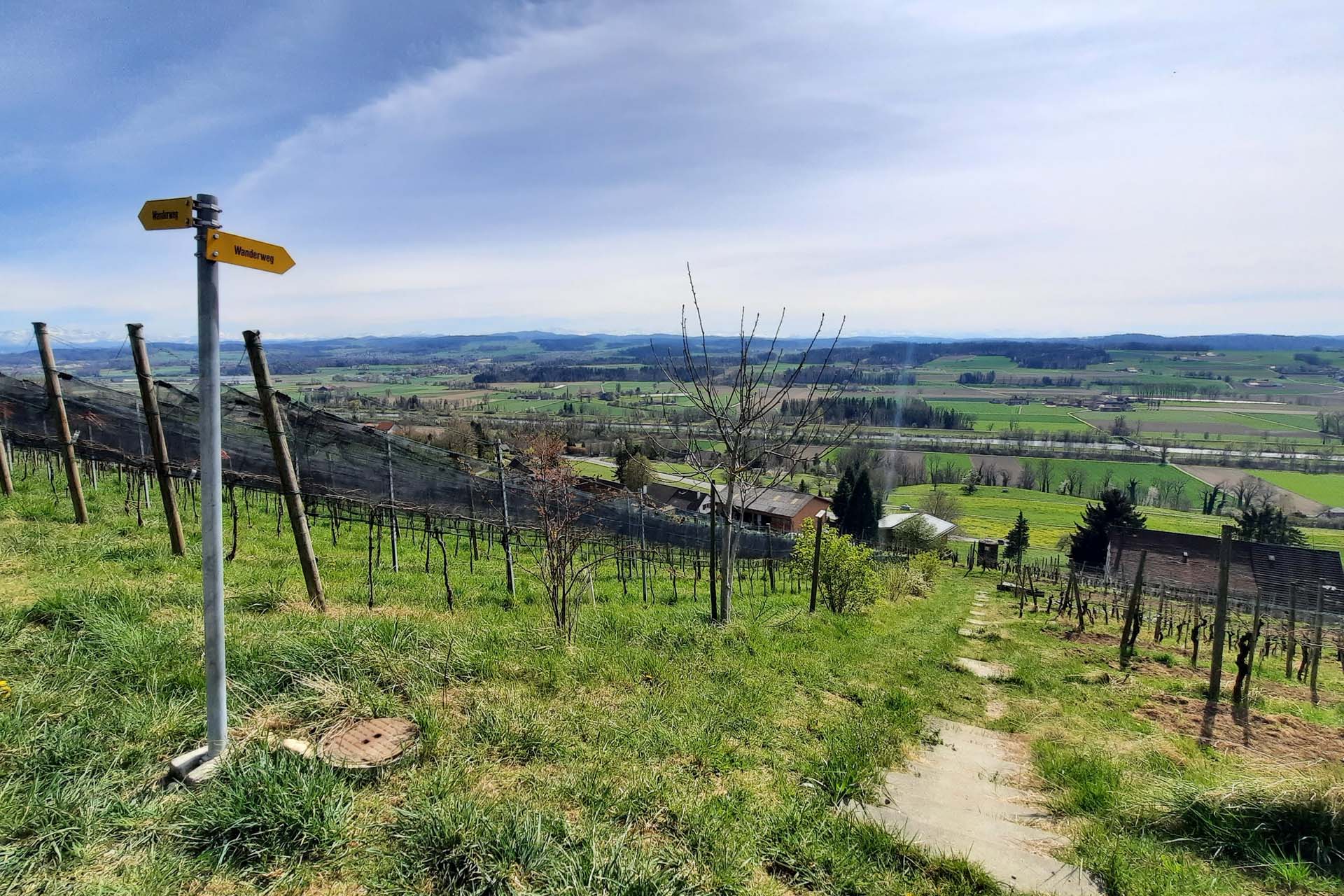 Vaches mères et femme au pouvoir en Thurgovie