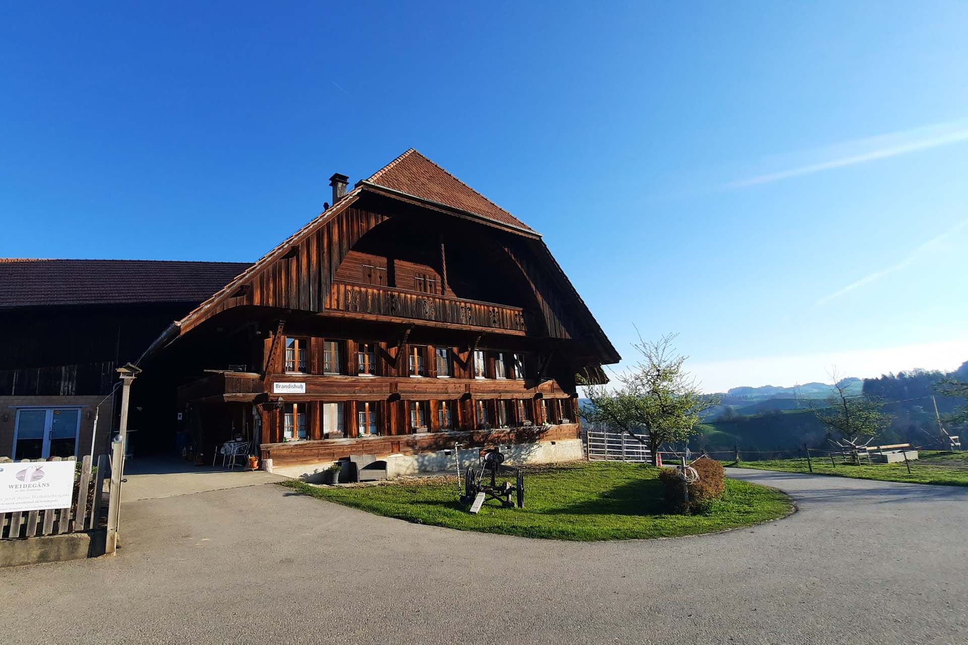 L’agriculture dans l’Emmental – Aperçu de la vie quotidienne d’un jeune agriculteur