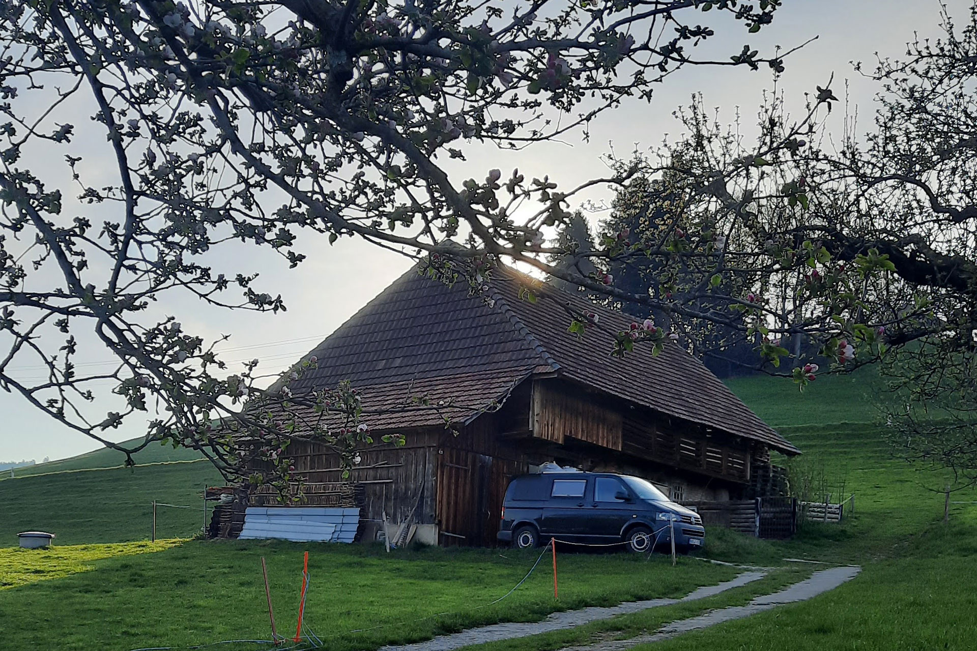 L’or blanc de la Suisse – Lait et produits laitiers de la ferme Schalleberg – dans l’Oberland bernois – Une expérience pour petits et grands