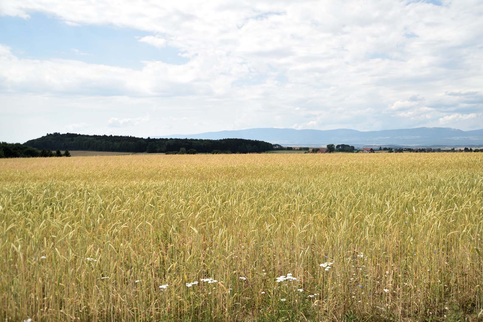 Détente gourmande dans le Gros-de-Vaud