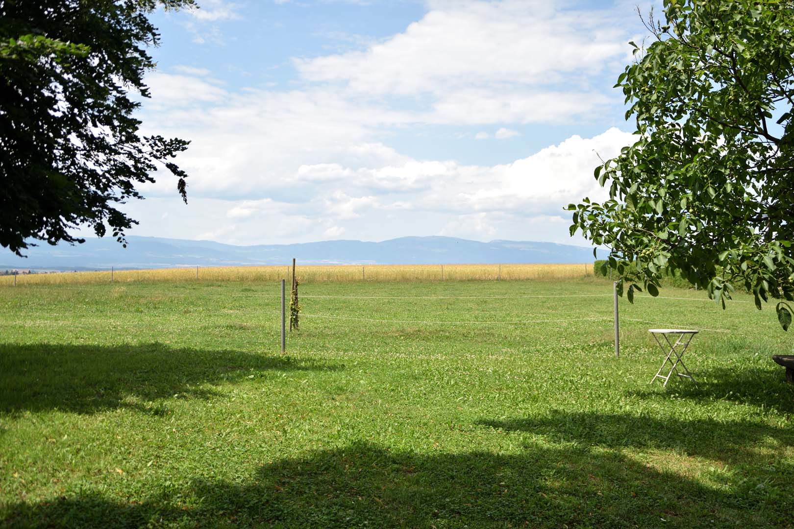 Ansicht Stellplatz Camping auf dem Bauernhof Gros-de-Vaud